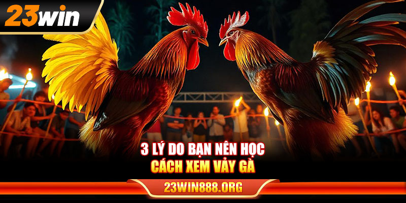 3 lý do bạn nên học cách xem vảy gà