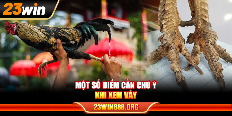 Một số điểm cần chú ý khi xem vảy